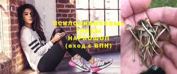PSILOCYBIN Абинск